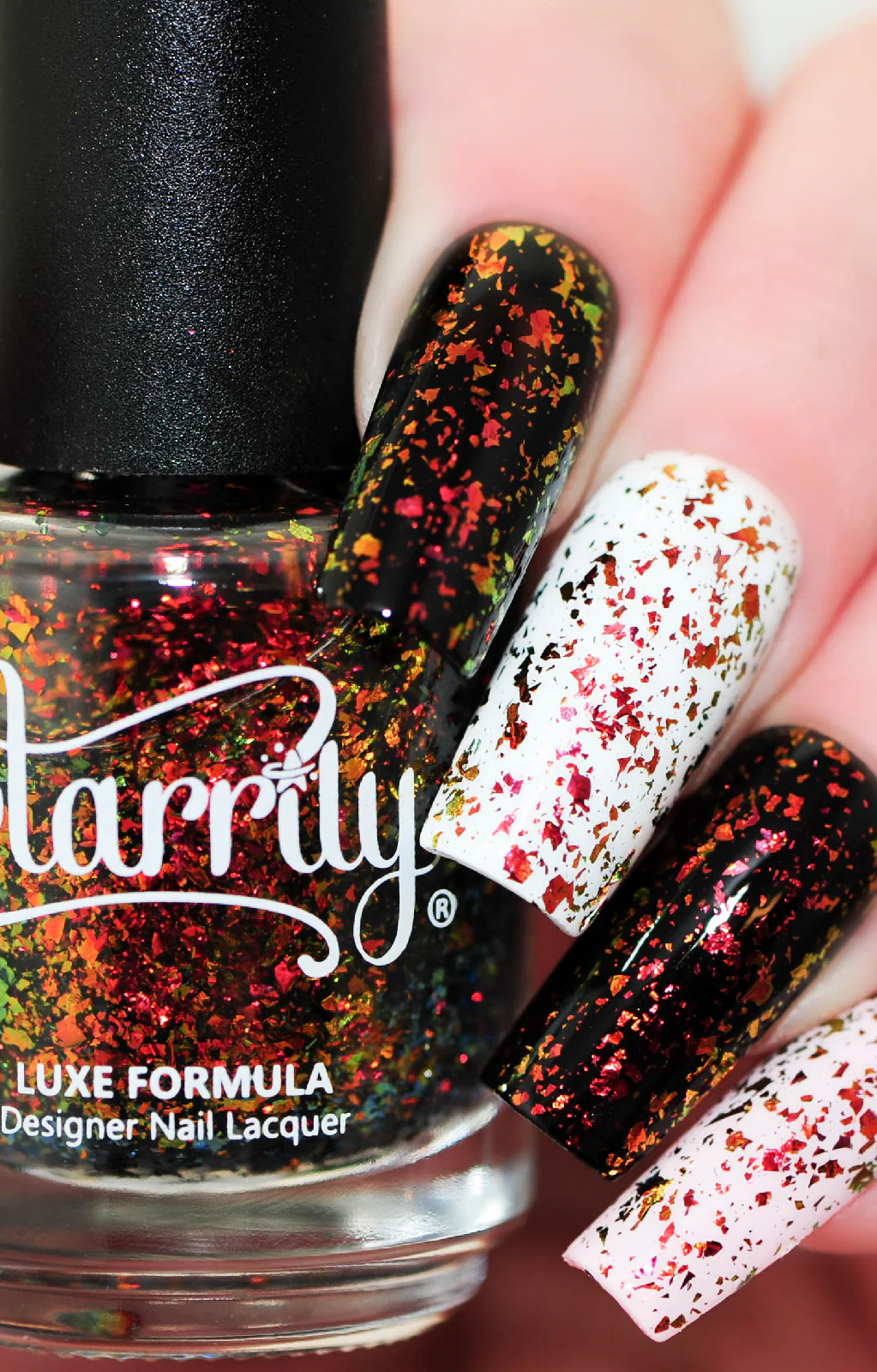 Thumbnail 14
